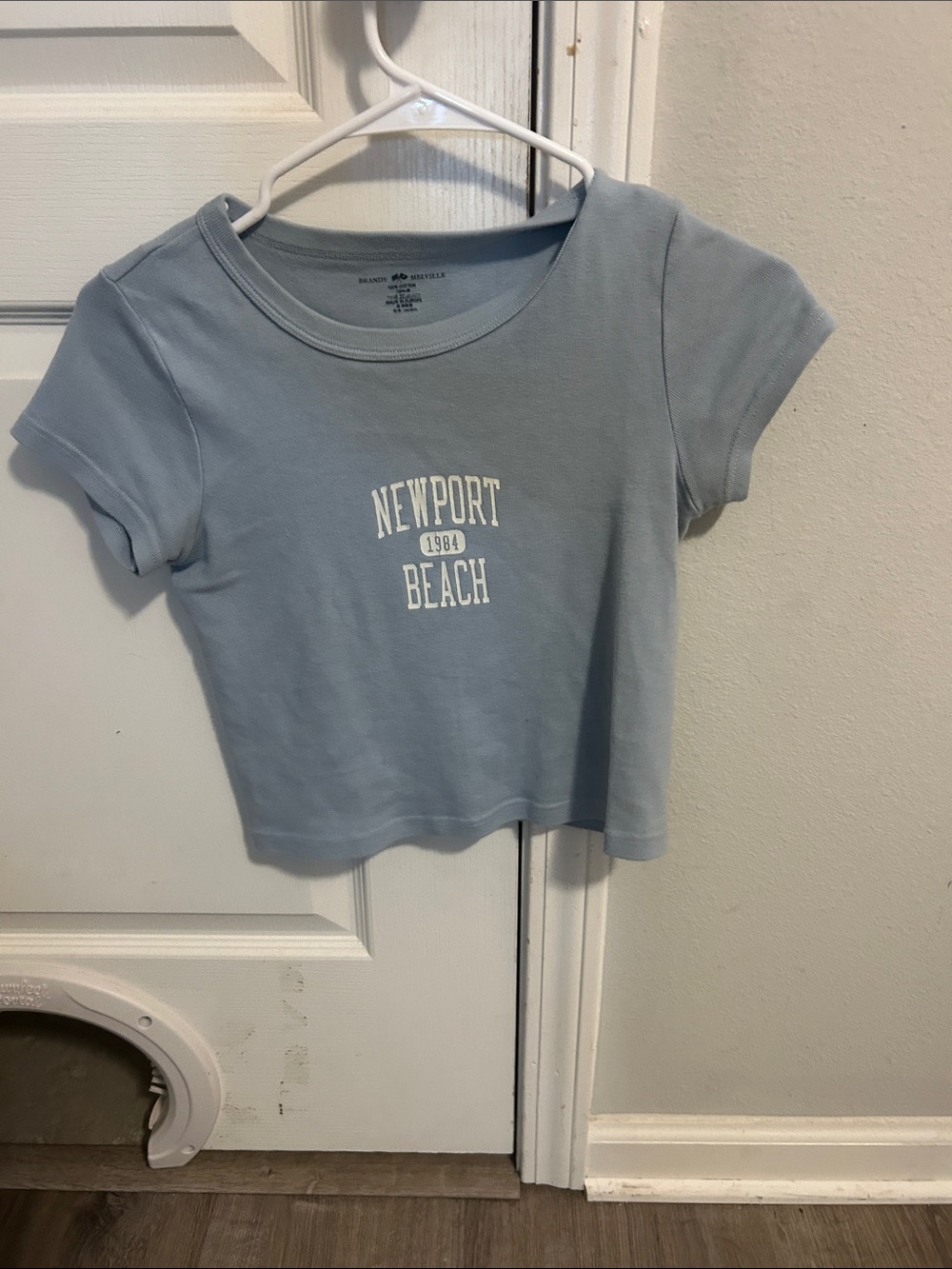 Brandy Melville Light Blue "Newport Beach" Graphic Tee